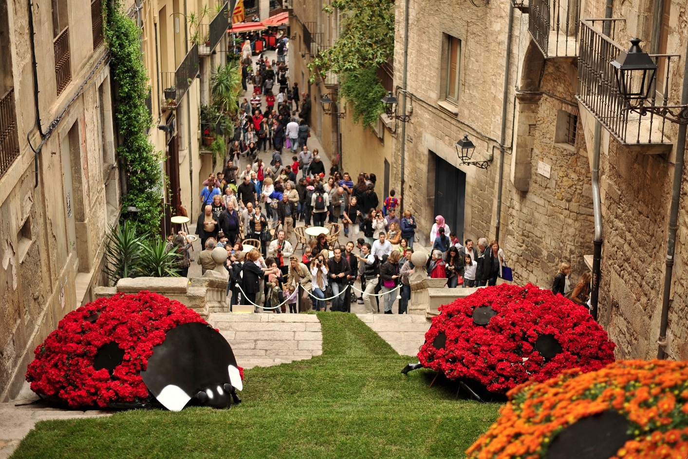 Descubre las Actividades Recomendadas de Temps de Flors Girona 2024: Una Aventura Floral en la Ciudad